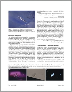 G&G Micro-World: Vesuvianite in sapphire